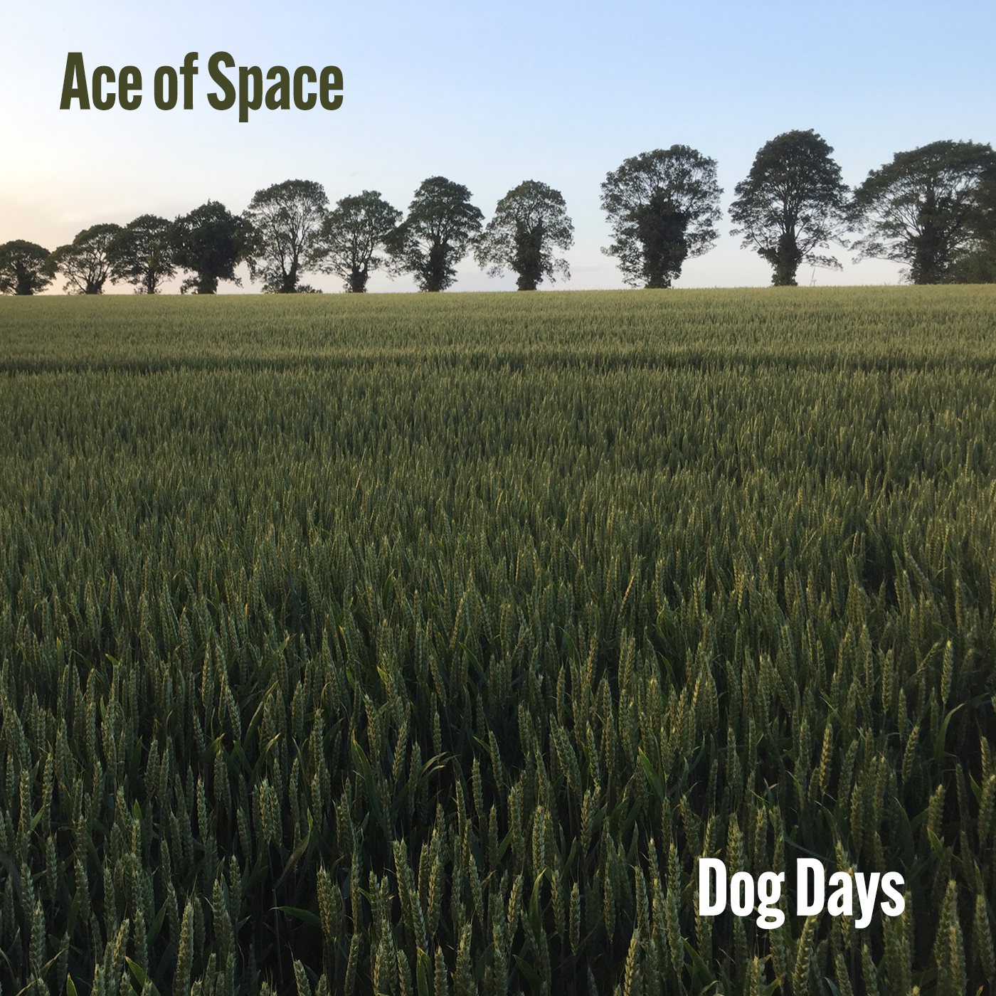 Ace of Space - Dog Days